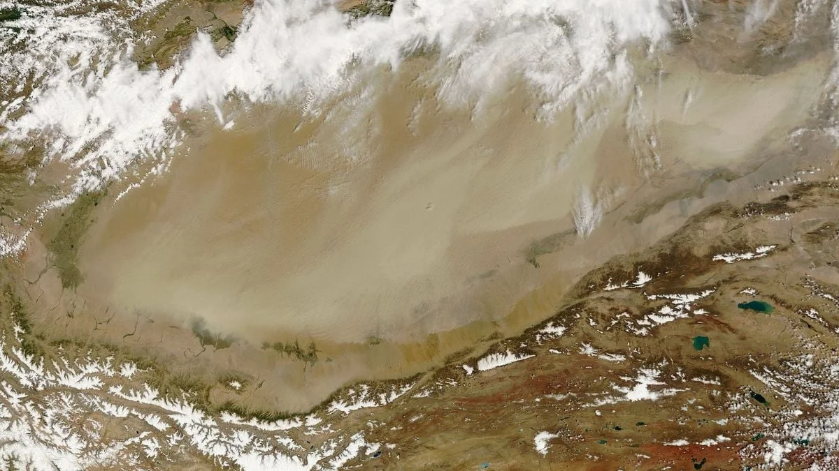 China hat so viele Bäume in der Taklamakan-Wüste gepflanzt, dass sie nun CO2 absorbiert