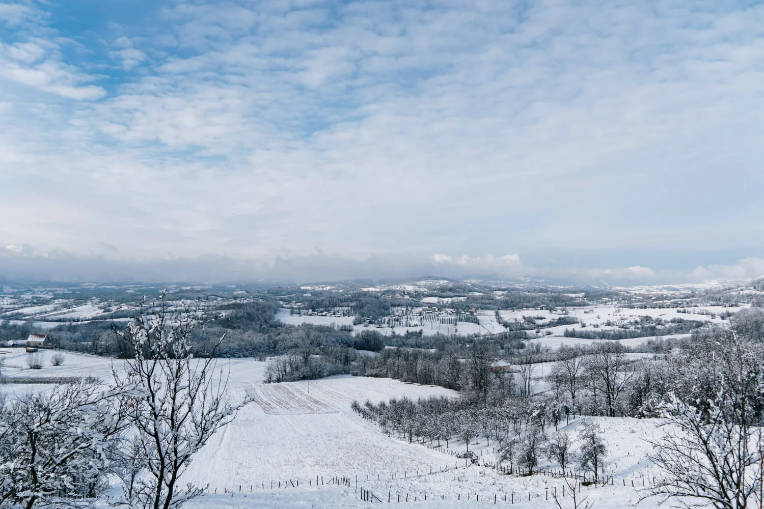 Die Alten achteten darauf: Dieses Zeichen der Natur im Februar verrät, ob der Winter vorbei ist
