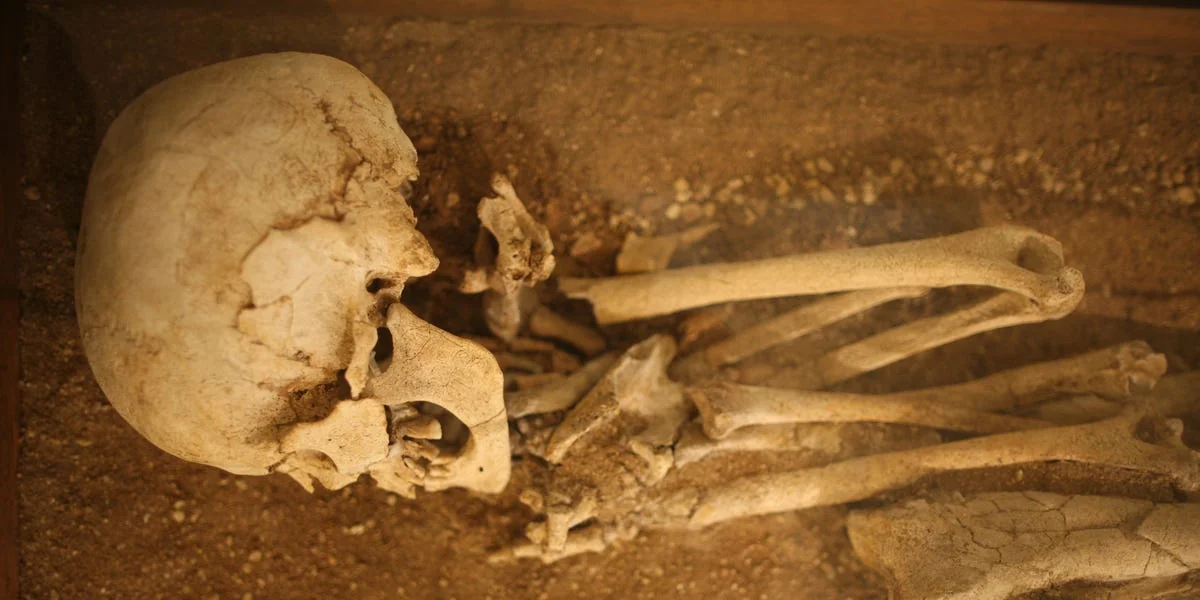 Arbeiter entdeckten 1.400 Jahre alte königliche Überreste auf dem Gelände eines Kernkraftwerks