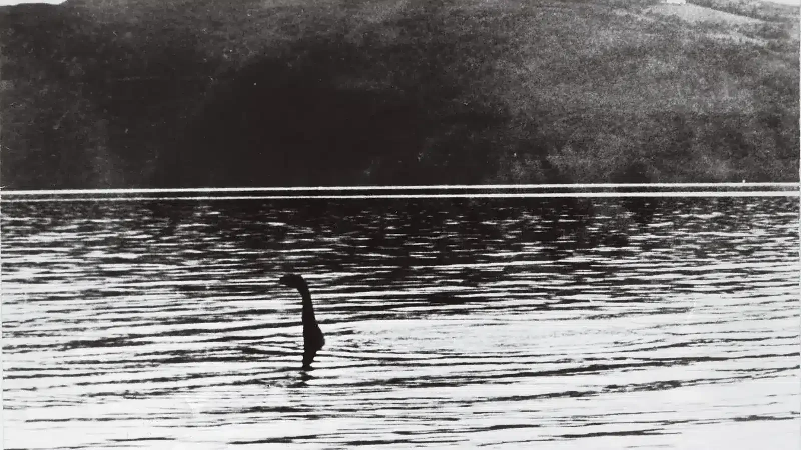 Diese Kamera lag 55 Jahre lang auf dem Grund von Loch Ness und wartete auf das Ungeheuer: Das hat sie aufgenommen