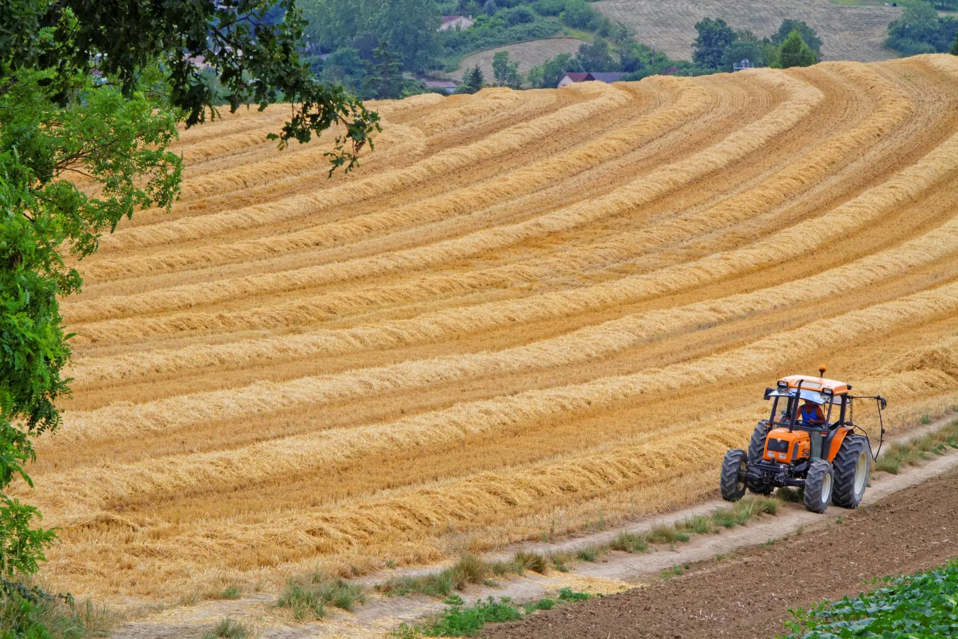 Ein Schock bahnt sich an: Der Wert von landwirtschaftlichen Flächen wird in diesen Regionen in den kommenden Jahrzehnten um 60 % sinken